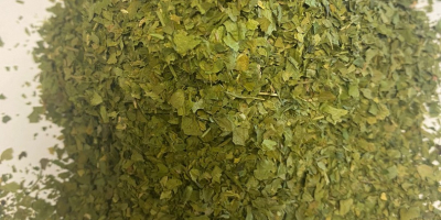 We offer dried parsley for sale. Purity 99%, max.