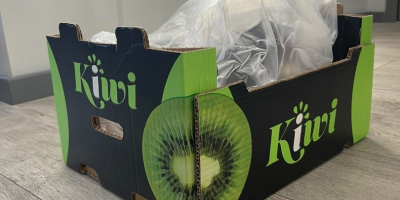 Suntem producători de kiwi, iar compania pe care am