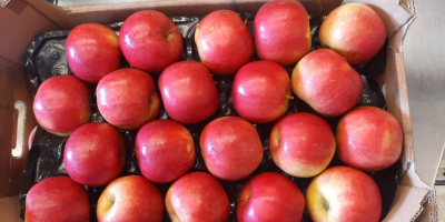 Wir bieten verschiedene Apfel- und Birnensorten sowie saisonales Beerenobst