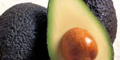 Our avocados are famous for their soft and creamy