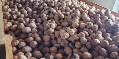 ORGANIC NUTS OBTAINED IN THE ORCHARD, ECOLOGICALLY CERTIFIED IN