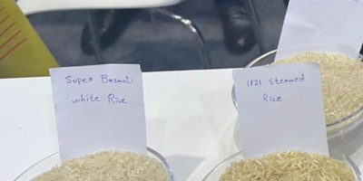 Superlanger Basmatireis (Pakistan) Superlanger Basmatireis ist ein Reis, dessen