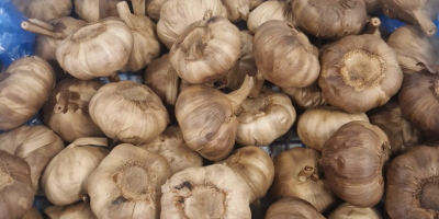 Hello. Fresh garlic, caliber 5.5-7.5.