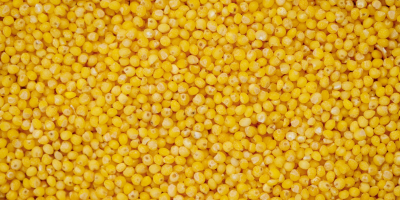 Предлагаме зърнени култури от производителя: зелена елда, натрошен жълт