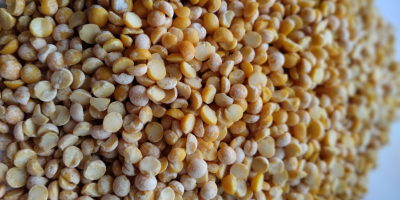 We offer cereals from the manufacturer: green buckwheat, split