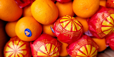 Wir bieten Ihnen saftige Valencia-Orangen direkt aus Ägypten Erstklassig