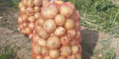 I will sell carrots dirty and commercial. 2 -5