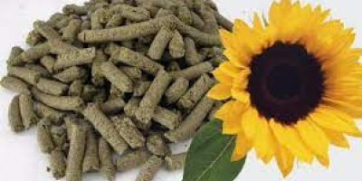 We sell with delivery in Europe sunflower meal and