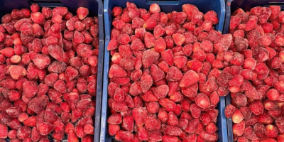 ЗАМРАЗЕНА ЯГОДА Предлагаме замразени ягоди от най-високо качество. Ние