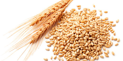 Продавам пшеница, царевица, ечемик, соя. Произход: Украйна и Русия.