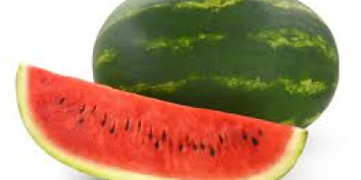 Fresh watermelons grown from experts in the field of