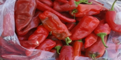 we supply good quality capia red pepper and other