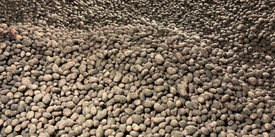 Since September we have 10,000 tons of potatoes available.