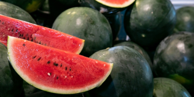 Honigsüße Köstlichkeit! Ungarische Freilandmelonen sind verfügbar!! Sowohl in kleinen