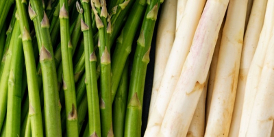 I will sell white and green asparagus. Wholesale quantities