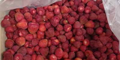 Frozen Strawberries from UA