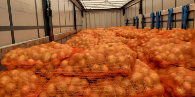 Die Firma polish-vegetables.eu bietet Zwiebeln an. Kaliber 50+ in