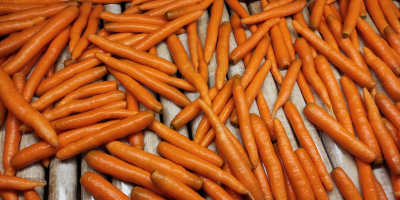 Ich verkaufe junge Karotten, gebürstet oder schmutzig, in vollen