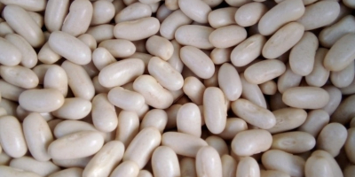 We sell beans, various varieties, the lowest price on