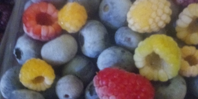 I sell cultivated blueberries in quantities from 100 to