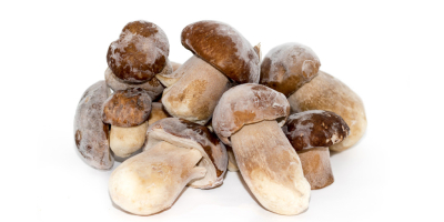 I sell fresh, dried, frozen mushrooms and in a