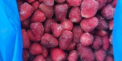 Frozen strawberries grade A uncalibrated perfect quality from our