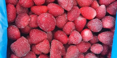 Gefrorene Erdbeeren der Güteklasse A, unkalibriert, perfekte Qualität von