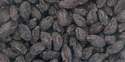 Продаем чернослив сушеный произведенный в Молдове.
