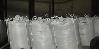 Vendiamo piselli Madras (big bag), lotto 2023, 100 tonnellate