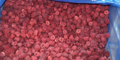Frozen raspberries for sale. Country of origin - Ukraine.