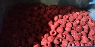 Quality raspberry from Serbia.