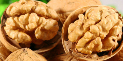 Selling wholesale Chandler variety walnuts. Highest quality. In large