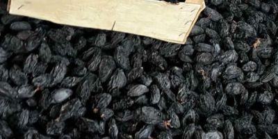 I sell Stanley prunes in large quantities about 150