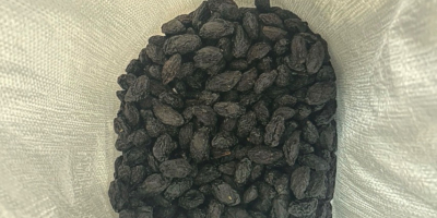 Vând prune uscate Stanley în cantități mari circa 150