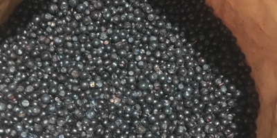 I will sell Polish frozen berries with a BIO-organic