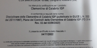 Z. B. SRL CLEMENTINE CALIBRU 1 I.G.P( indicație protejată