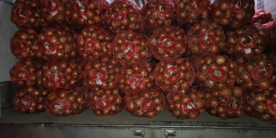 Vendo cipolle gialle e rosse, importate dall&#39;Uzbekistan. Classe 1,