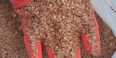 Chiediamo ai nostri prodotti agricoli: semi di lino e