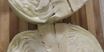 Good quality cabbage, ~ 4 kg / head