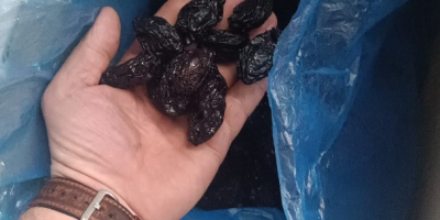 Компания из Республики Молдова предлагает к продаже чернослив калиброванный