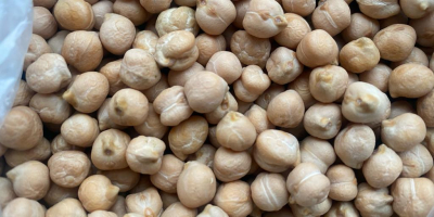 Dear Customers, We present our offer for dry chickpeas