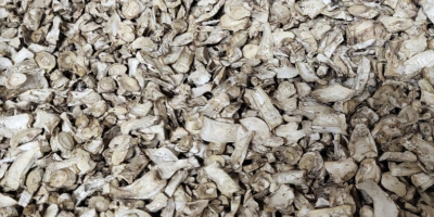 white plate of dried mushroom root