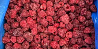 The finest in IQF raspberries with our high-quality 90/10