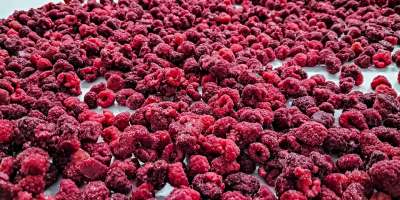 Our Ukrainian company offers high-quality frozen raspberries. The price