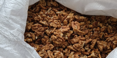 I sell walnuts in shell and shelled, tons. Harvest