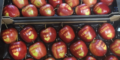 Продавам ябълки с надпис ОБИЧАМ ТЕ на червените сортове