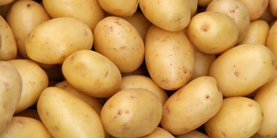 Hochwertige frische Bauernkartoffeln für den Großhandel. Spezifikationen für frische