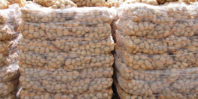 Hochwertige frische Bauernkartoffeln für den Großhandel. Spezifikationen für frische