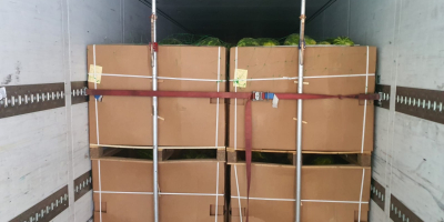 Siamo importatori di angurie dal Marocco. Ti offriamo il