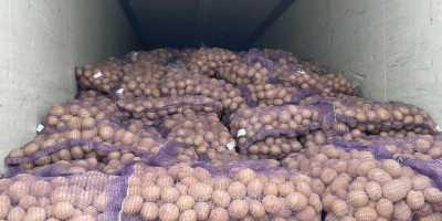 Compania noastra ofera spre vanzare cartofi de diferite soiuri